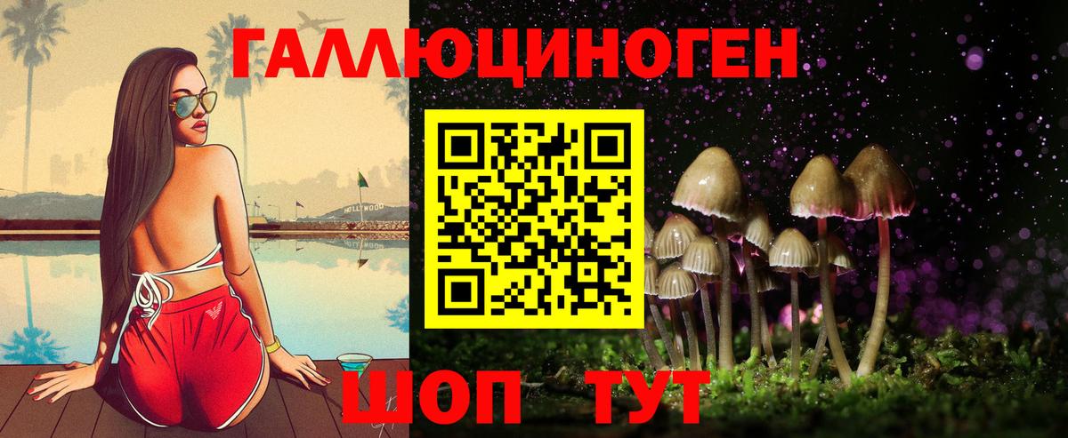 Волхов  Псилоцибиновые грибы Magic Shrooms  Вход с VPN 